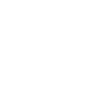 Numerus